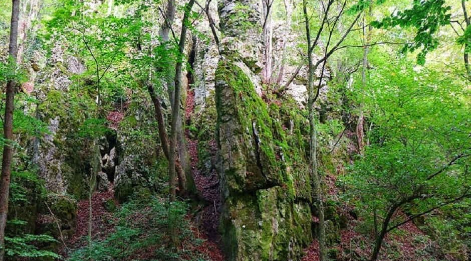 KERTESKŐI-SZURDOK