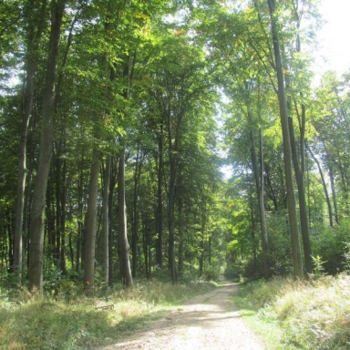 SZÉPALMA - KŐRIS-HEGY - ÖRDÖG-LIK - HALOMSÍROK – SZÉPALMA (BAÁN IRÉN) Galéria