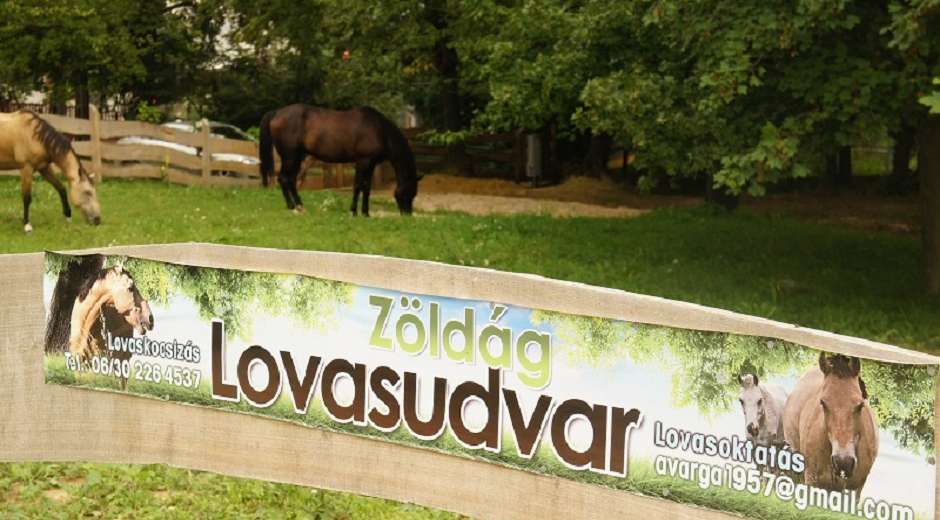 ZÖLDÁG LOVASUDVAR