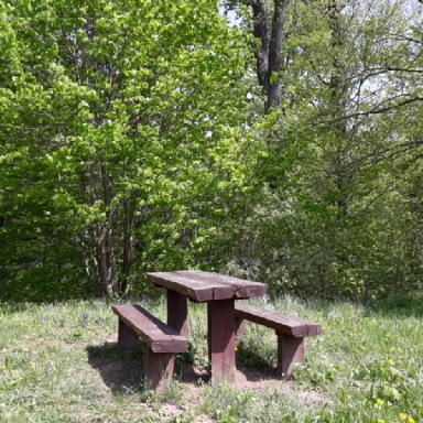 ALSÓPEREI (NÁDASDY) ARBORÉTUM Galéria