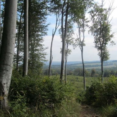 SZÉPALMA - KŐRIS-HEGY - ÖRDÖG-LIK - HALOMSÍROK – SZÉPALMA (BAÁN IRÉN) Galéria