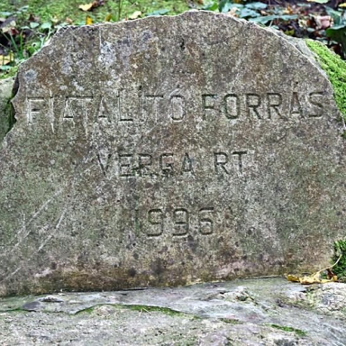FIATALÍTÓ-FORRÁS Galéria