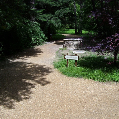 ARBORÉTUM2 Galéria