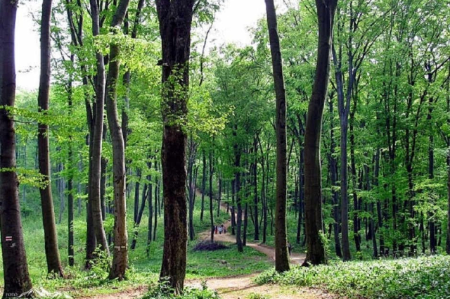 BOROSZLÁN NATURE TRAIL