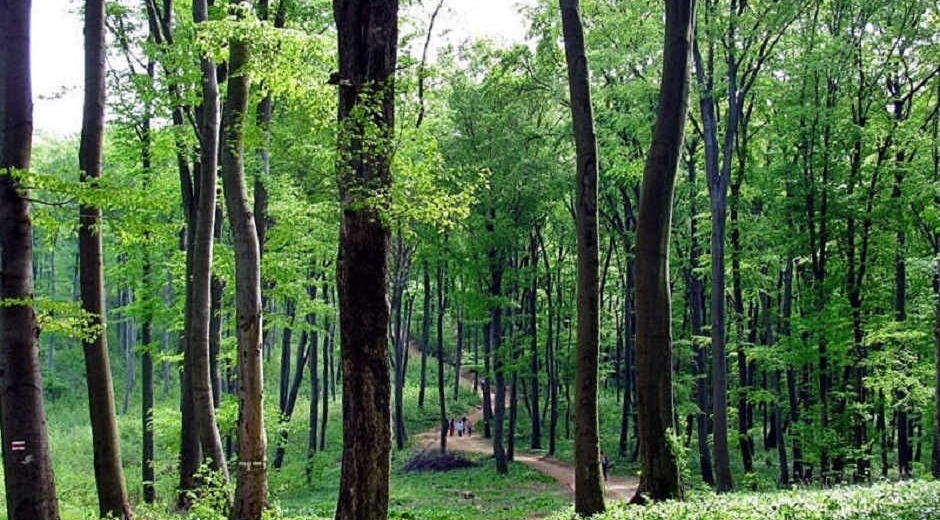 BOROSZLÁN NATURE TRAIL