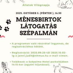Ménesbirtok látogatás Szépalmán