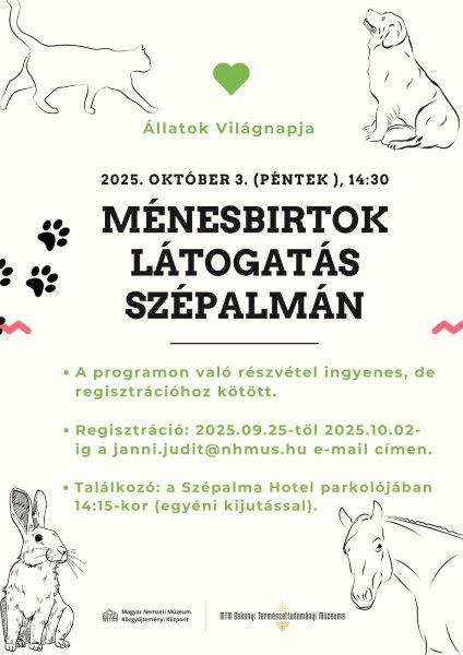 Ménesbirtok látogatás Szépalmán