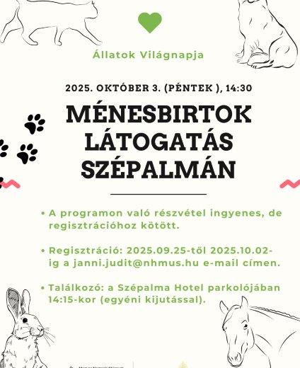Ménesbirtok látogatás Szépalmán