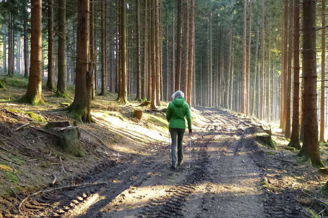 NORDIC WALKING