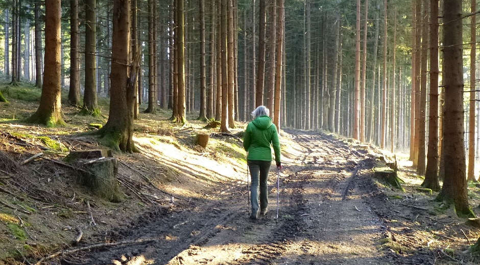 NORDIC WALKING NORDIC WALKING