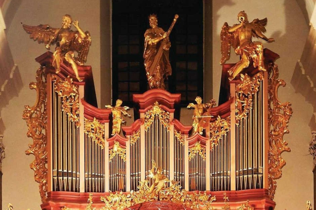 ORGAN CONCERTS