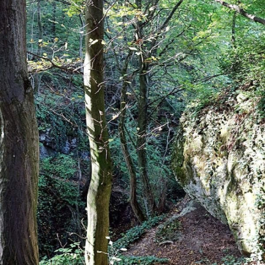 Kőmosó-szurdok
