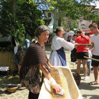 Nemzeti Regatta 2019