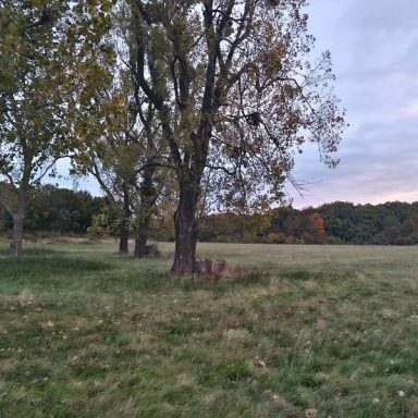 HÁROM-HEGY Galéria