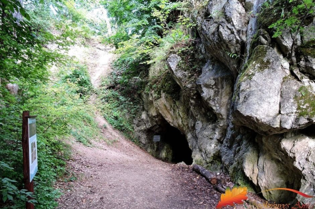 BARLANGOK