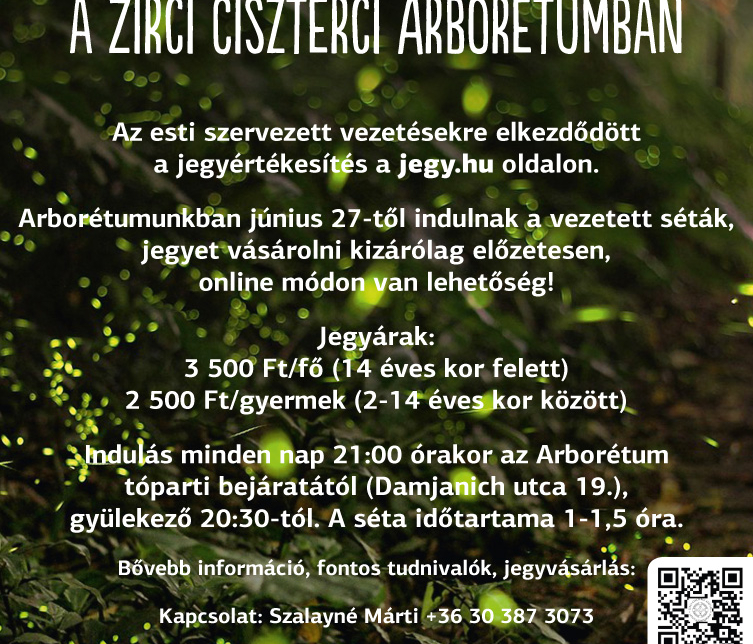 Szentjánosbogár séták