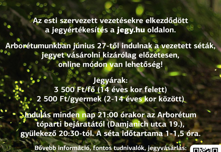 Szentjánosbogár séták Szentjánosbogár séták