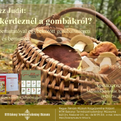 Mit kérdeznél a gombákról?