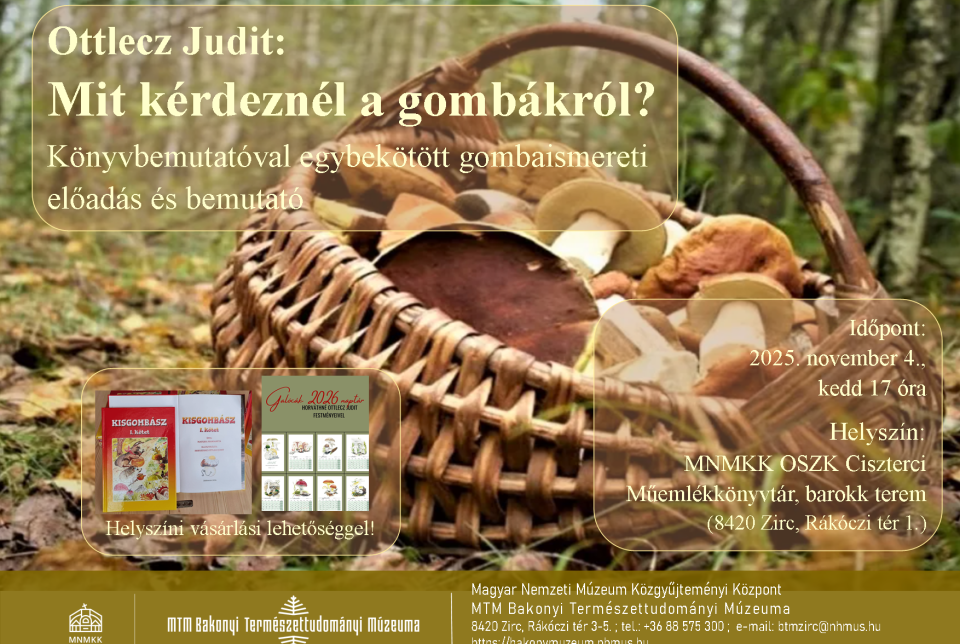 Mit kérdeznél a gombákról?