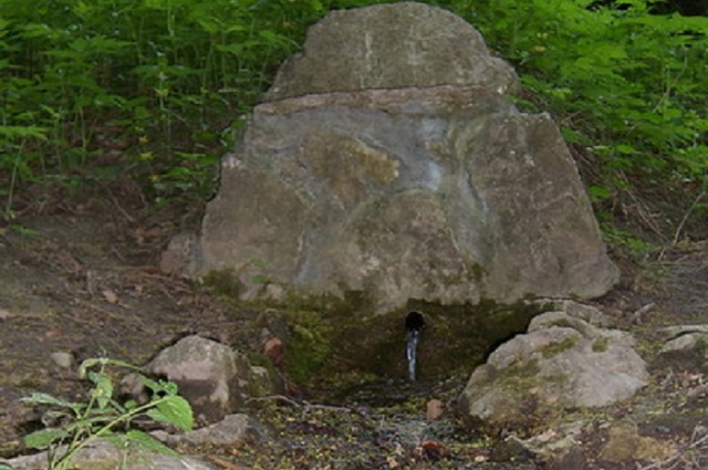 FIATALÍTÓ-FORRÁS