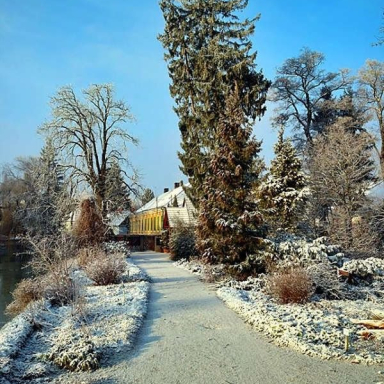 Arborétum galéria