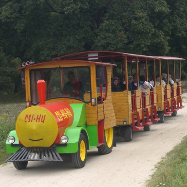 DORBI, A CSI-HU-HU