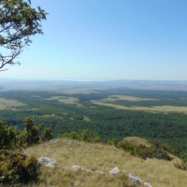 Mórocz-tető