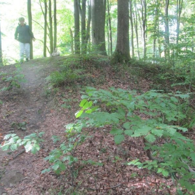 SZÉPALMA - KŐRIS-HEGY - ÖRDÖG-LIK - HALOMSÍROK – SZÉPALMA (BAÁN IRÉN) Galéria