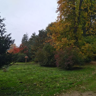 NYEREMÉNYEK ÉS KEDVCSINÁLÓ KÉPEK Galéria