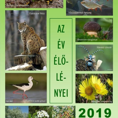 MTM BAKONYI TERMÉSZETTUDOMÁNYI MÚZEUMA Galéria