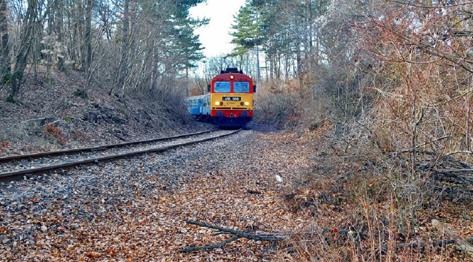 BAKONY RAILWAY