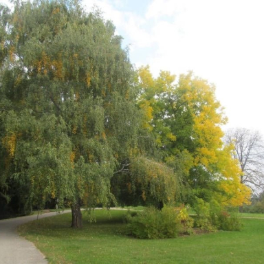 SZÉPALMA - KŐRIS-HEGY - ÖRDÖG-LIK - HALOMSÍROK – SZÉPALMA (BAÁN IRÉN) Galéria