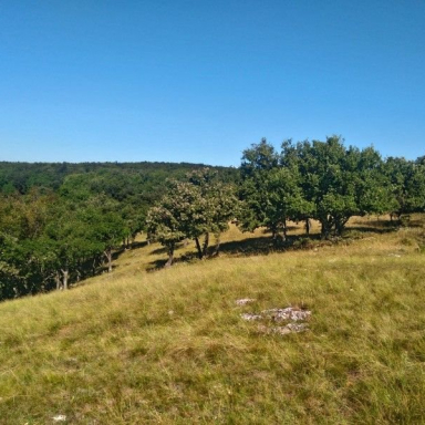 Mórocz-tető