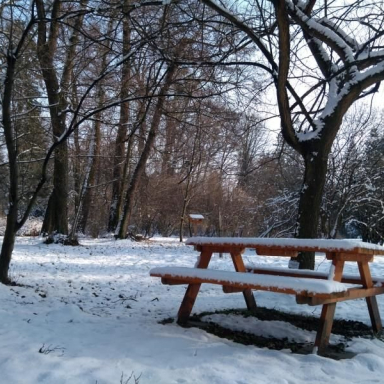 ARBORÉTUM2 Galéria
