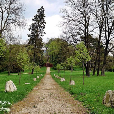 ALSÓPEREI (NÁDASDY) ARBORÉTUM Galéria