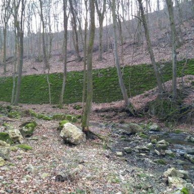 NYEREMÉNYEK ÉS KEDVCSINÁLÓ KÉPEK Galéria