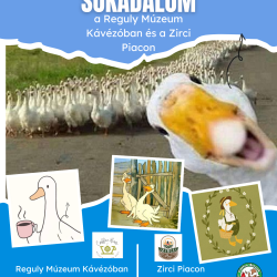 Márton napi sokadalom