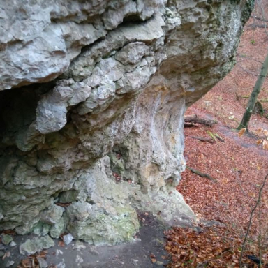 NYEREMÉNYEK ÉS KEDVCSINÁLÓ KÉPEK Galéria