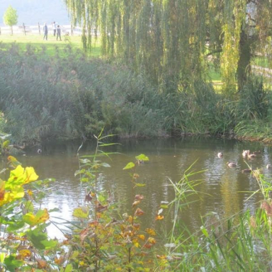 SZÉPALMA - KŐRIS-HEGY - ÖRDÖG-LIK - HALOMSÍROK – SZÉPALMA (BAÁN IRÉN) Galéria