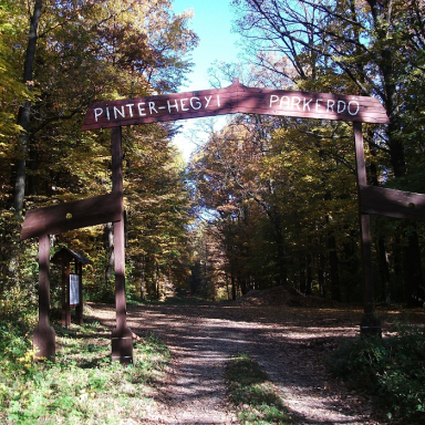 PINTÉR-HEGYI PARKERDŐ TANÖSVÉNY Galéria