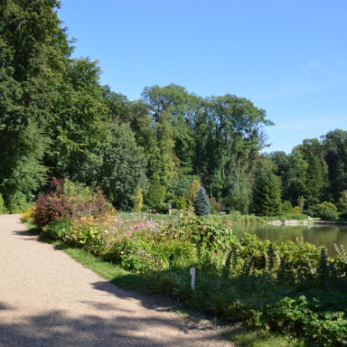 ARBORÉTUM2 Galéria