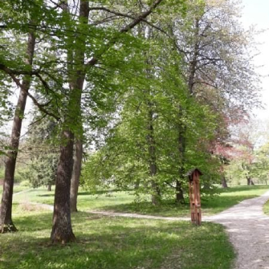 ALSÓPEREI (NÁDASDY) ARBORÉTUM Galéria