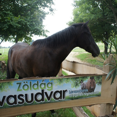 ZÖLDÁG LOVASUDVAR