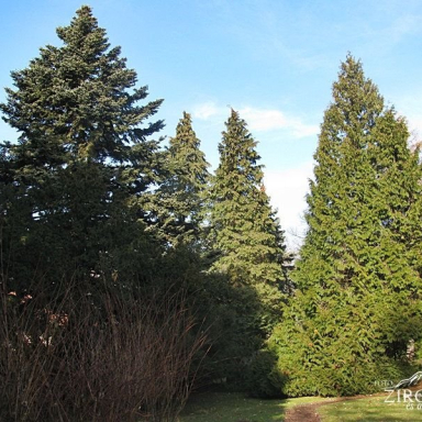 Szépalmapuszta