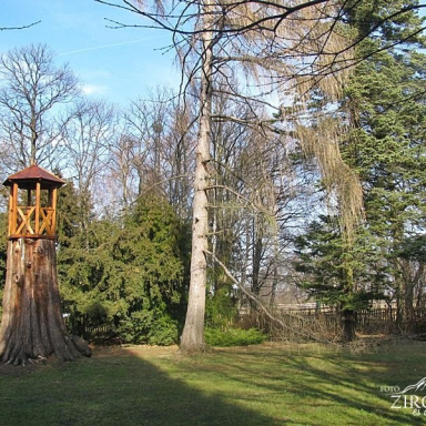 Szépalmapuszta