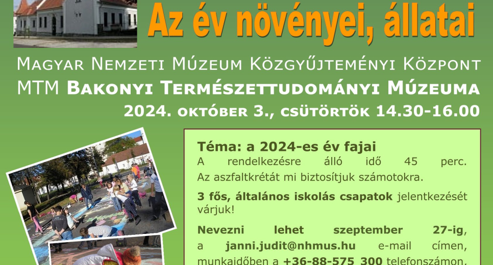 Aszfaltrajzverseny a Múzeumok Őszi Fesztiválja keretén belül